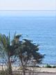IMG_0281c.JPG